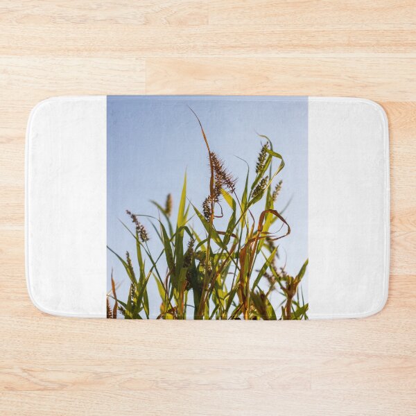 Item preview, Sunlit Wild Grass and Seed Heads Against Clear Blue Sky in Warm Late Afternoon Light designed and sold by Nmallia.