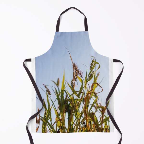 Item preview, Sunlit Wild Grass and Seed Heads Against Clear Blue Sky in Warm Late Afternoon Light designed and sold by Nmallia.