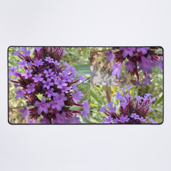 Item preview, Flowers Like Little Purple Trumpets designed and sold by Betsy Phillips.