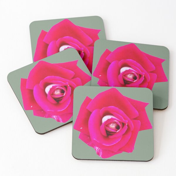 Item preview, Isolated Vibrant Hot Pink Rose Macro Floral Graphic Cutout designed and sold by BalkanBloomArt.