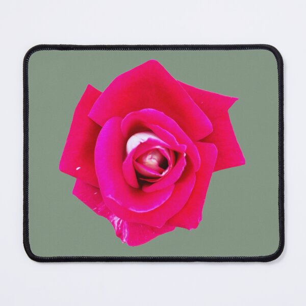 Item preview, Isolated Vibrant Hot Pink Rose Macro Floral Graphic Cutout designed and sold by BalkanBloomArt.