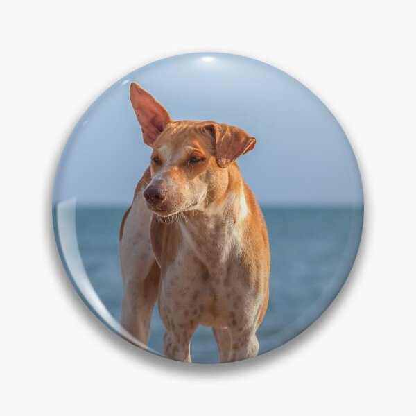 Item preview, Lonely dog on the beach designed and sold by Photopat.