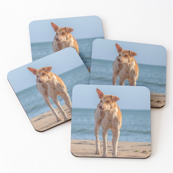 Item preview, Lonely dog on the beach designed and sold by Photopat.