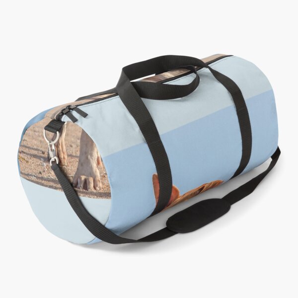 Item preview, Lonely dog on the beach designed and sold by Photopat.
