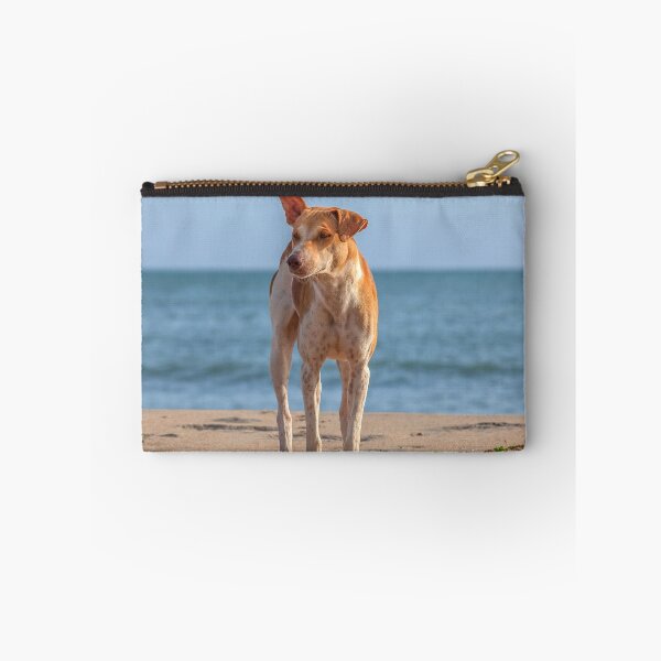 Item preview, Lonely dog on the beach designed and sold by Photopat.