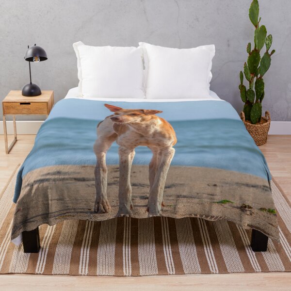 Item preview, Lonely dog on the beach designed and sold by Photopat.