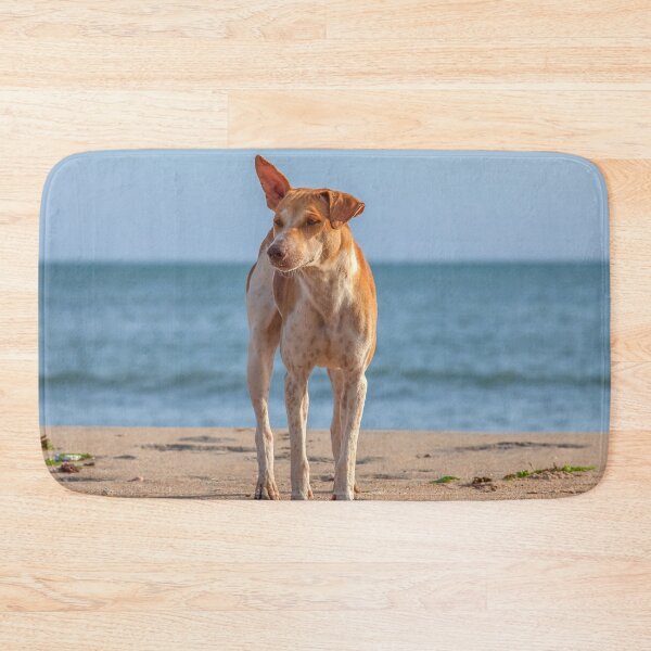 Item preview, Lonely dog on the beach designed and sold by Photopat.