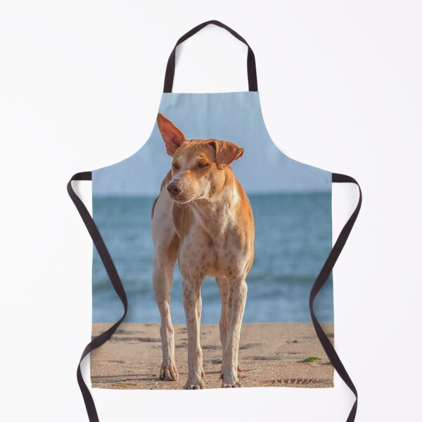 Item preview, Lonely dog on the beach designed and sold by Photopat.