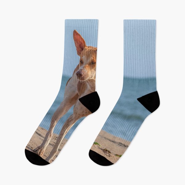 Item preview, Lonely dog on the beach designed and sold by Photopat.