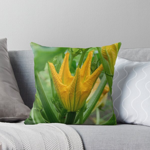 Item preview, Zucchini flower. Summer squash designed and sold by Jouko Lehto Photography.
