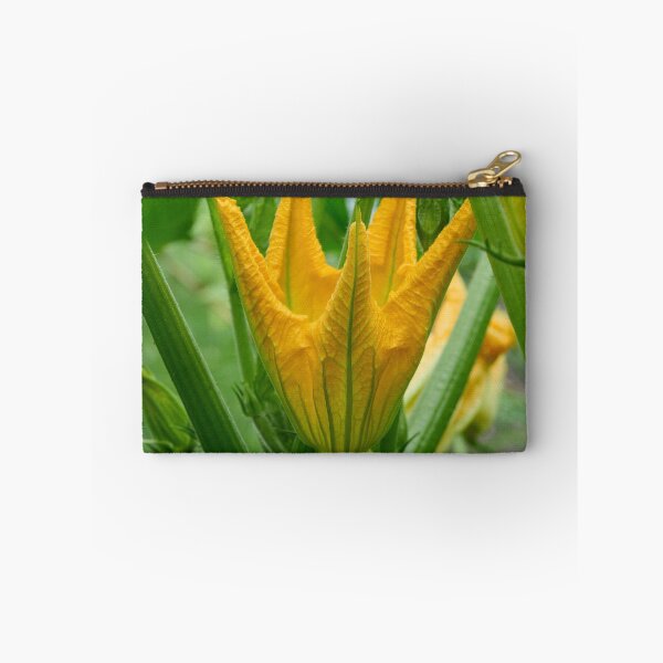 Item preview, Zucchini flower. Summer squash designed and sold by Jouko Lehto Photography.