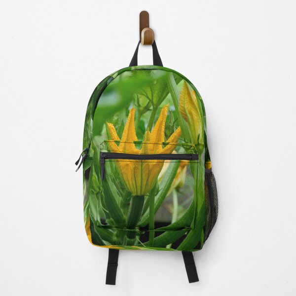 Item preview, Zucchini flower. Summer squash designed and sold by Jouko Lehto Photography.