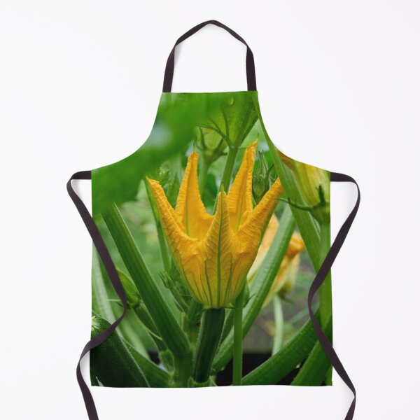 Item preview, Zucchini flower. Summer squash designed and sold by Jouko Lehto Photography.