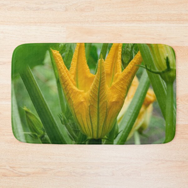 Item preview, Zucchini flower. Summer squash designed and sold by Jouko Lehto Photography.