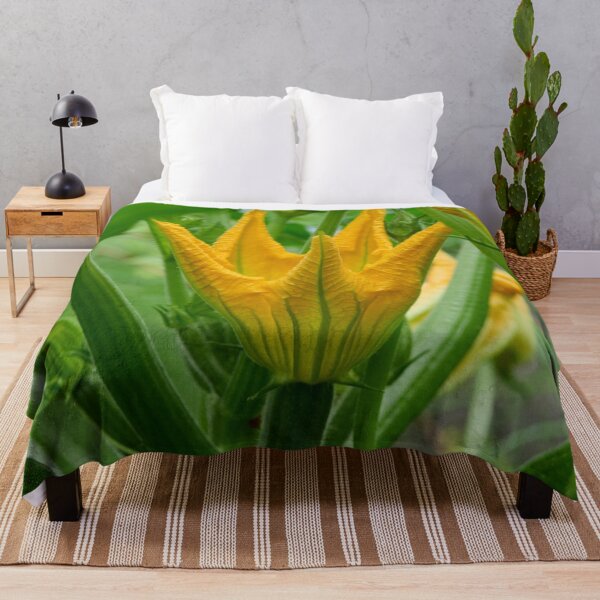 Item preview, Zucchini flower. Summer squash designed and sold by Jouko Lehto Photography.