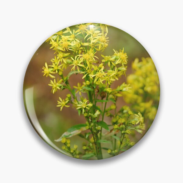 Item preview, Goldenrod designed and sold by Jouko Lehto Photography.