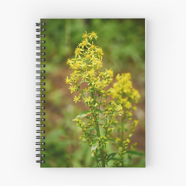 Item preview, Goldenrod designed and sold by Jouko Lehto Photography.