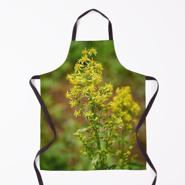 Item preview, Goldenrod designed and sold by Jouko Lehto Photography.