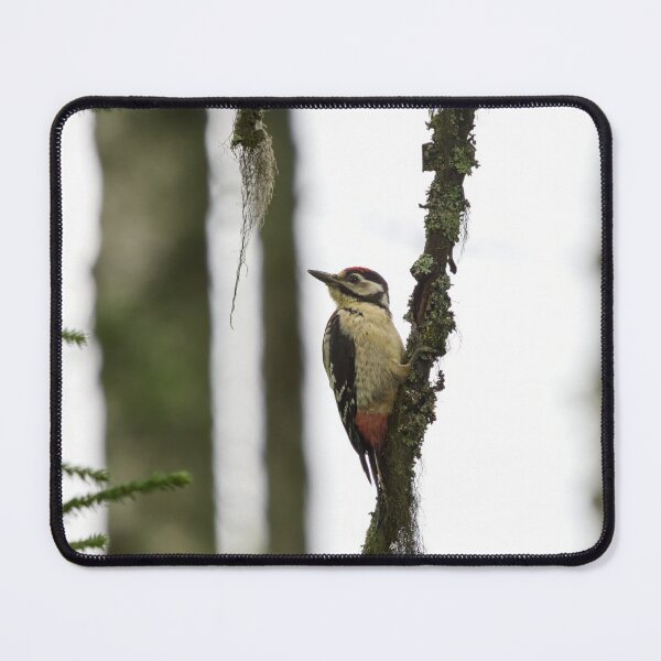 Item preview, A gray day. Great Spotted Woodpecker designed and sold by Jouko Lehto Photography.