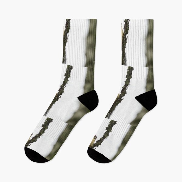Item preview, A gray day. Great Spotted Woodpecker designed and sold by Jouko Lehto Photography.