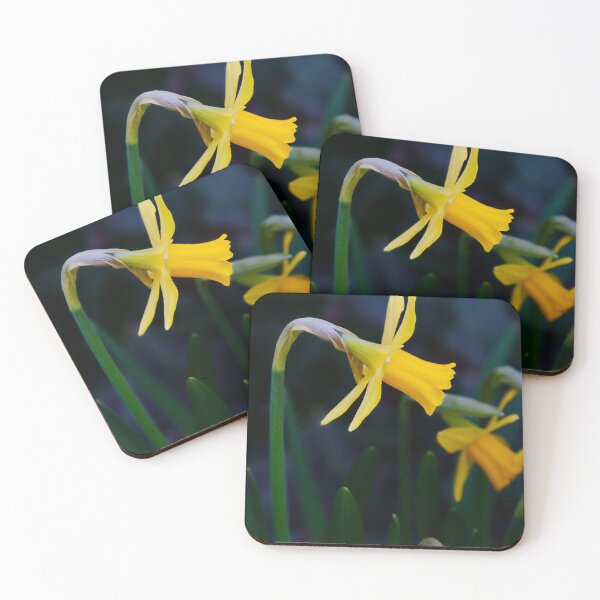 Item preview, Yellow Narcissus Flowers designed and sold by ShotsbyDesiree.