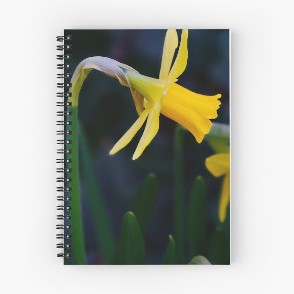 Item preview, Yellow Narcissus Flowers designed and sold by ShotsbyDesiree.