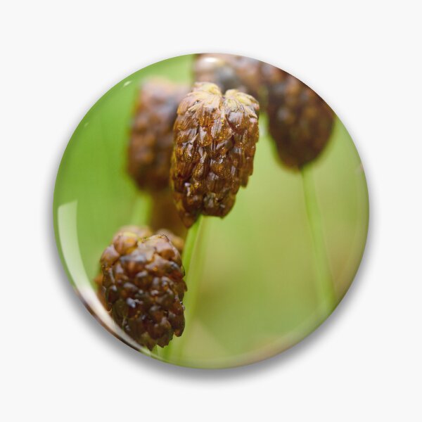 Item preview, After the rain. Large Brown Clover designed and sold by Jouko Lehto Photography.