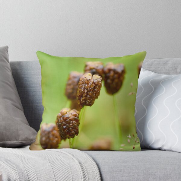 Item preview, After the rain. Large Brown Clover designed and sold by Jouko Lehto Photography.