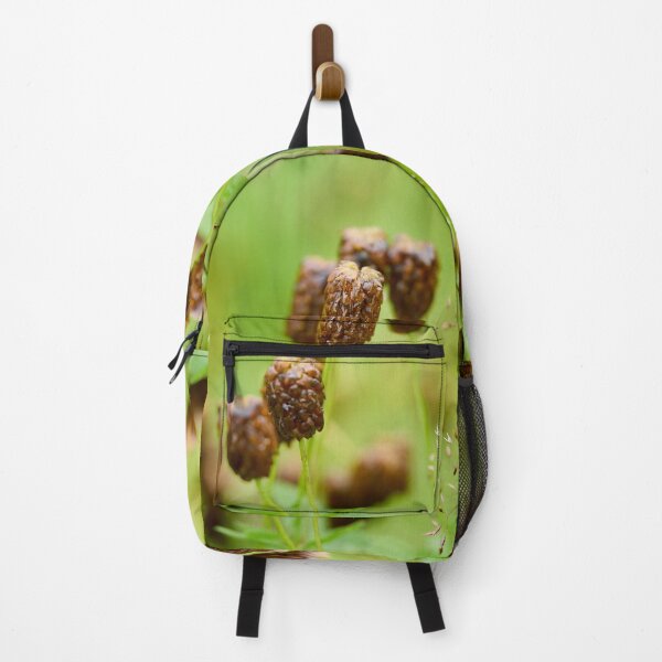 Item preview, After the rain. Large Brown Clover designed and sold by Jouko Lehto Photography.