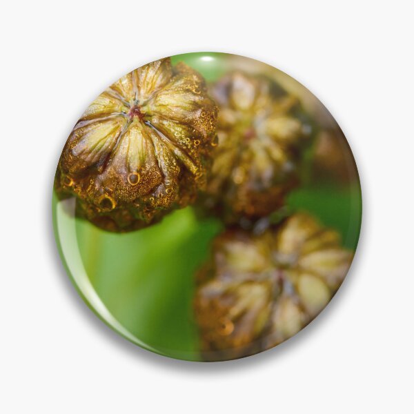 Item preview, Wet. Large Brown Clover designed and sold by Jouko Lehto Photography.