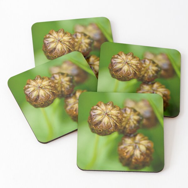 Item preview, Wet. Large Brown Clover designed and sold by Jouko Lehto Photography.
