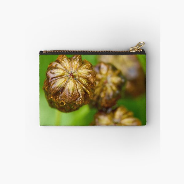 Item preview, Wet. Large Brown Clover designed and sold by Jouko Lehto Photography.