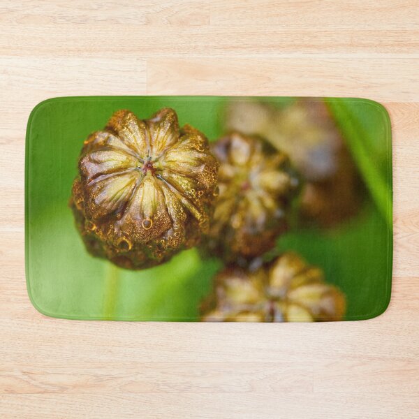 Item preview, Wet. Large Brown Clover designed and sold by Jouko Lehto Photography.