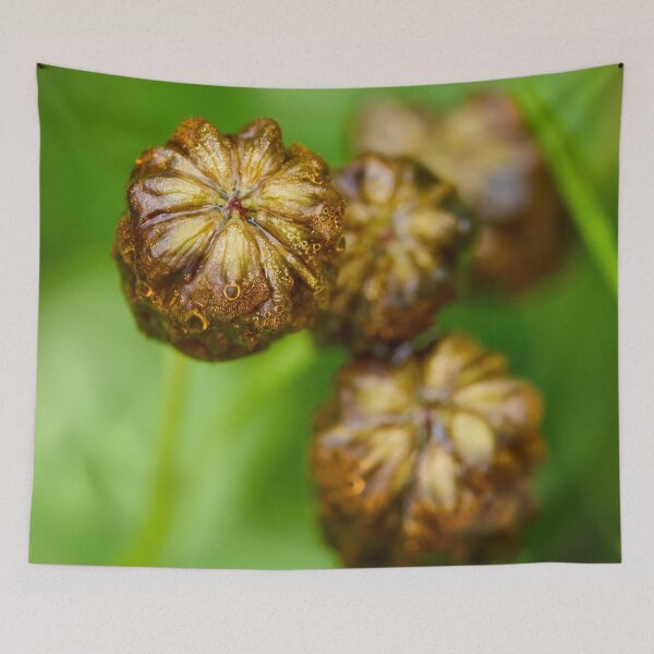 Item preview, Wet. Large Brown Clover designed and sold by Jouko Lehto Photography.