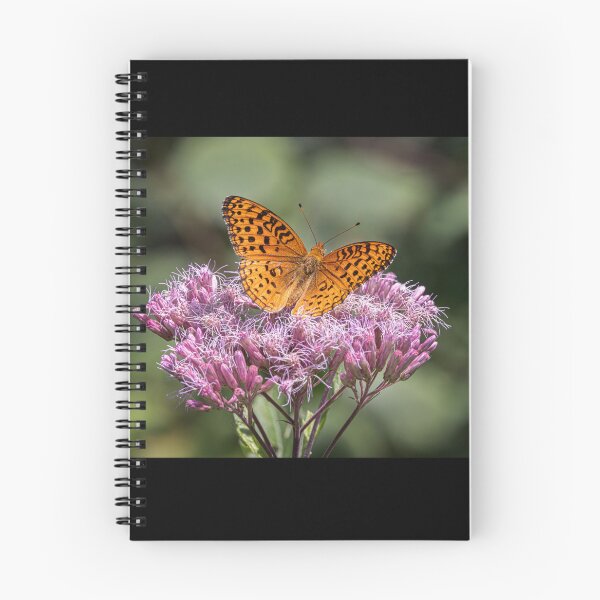Item preview, Aphrodite fritillary butterfly on Spotted Joe-pyeweed in Algonquin Park, Canada designed and sold by James Cumming.
