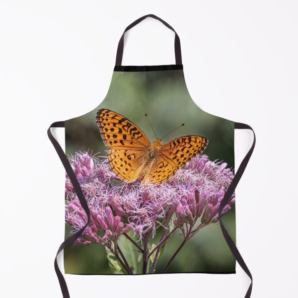 Item preview, Aphrodite fritillary butterfly on Spotted Joe-pyeweed in Algonquin Park, Canada designed and sold by James Cumming.