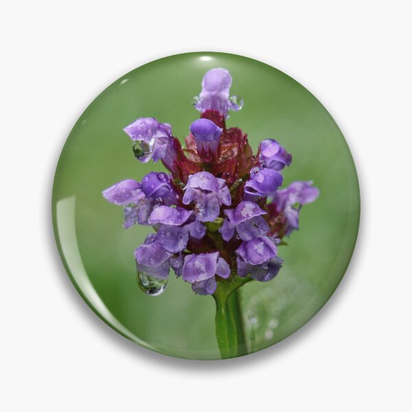 Item preview, After the rain. Self-heal designed and sold by Jouko Lehto Photography.