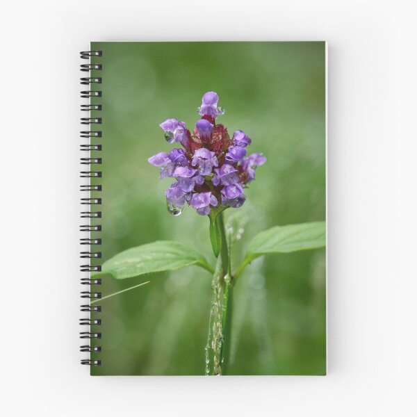 Item preview, After the rain. Self-heal designed and sold by Jouko Lehto Photography.