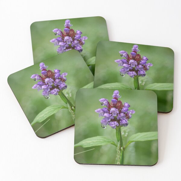 Item preview, After the rain. Self-heal designed and sold by Jouko Lehto Photography.