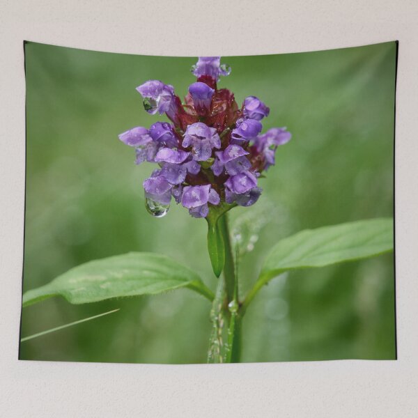 Item preview, After the rain. Self-heal designed and sold by Jouko Lehto Photography.