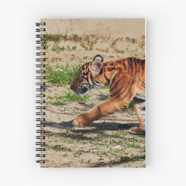 Item preview, Sumatran Tiger Cub designed and sold by Eidetic Photos.
