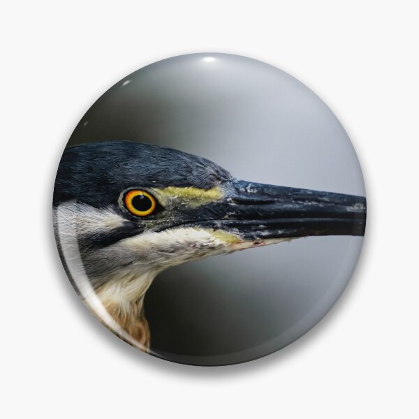 Item preview, Striated Socó Close Up Wildlife Portrait designed and sold by ThaCriações.