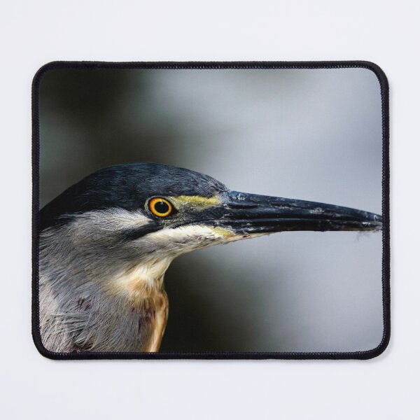 Item preview, Striated Socó Close Up Wildlife Portrait designed and sold by ThaCriações.