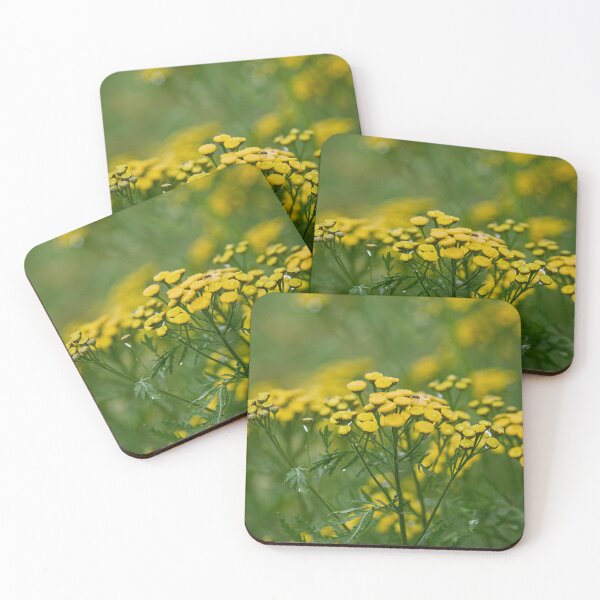 Item preview, Golden Bitter buttons designed and sold by Jouko Lehto Photography.