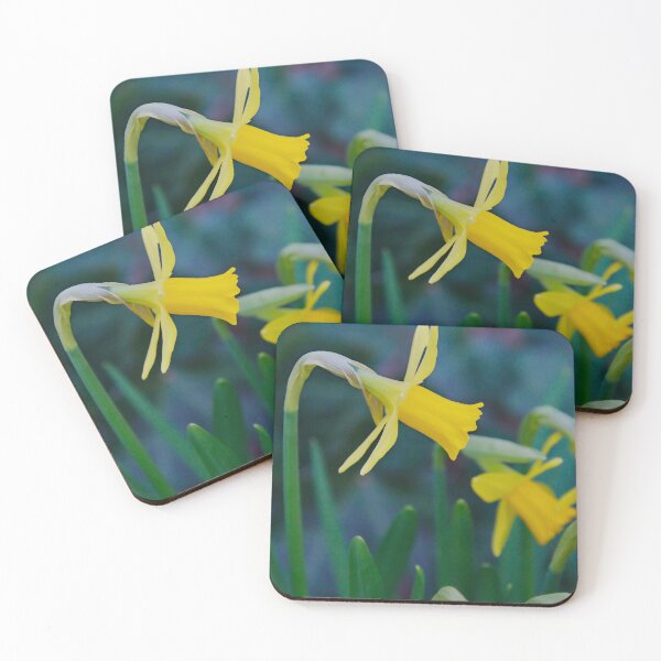 Item preview, Spring-Yellow Narcissus designed and sold by ShotsbyDesiree.
