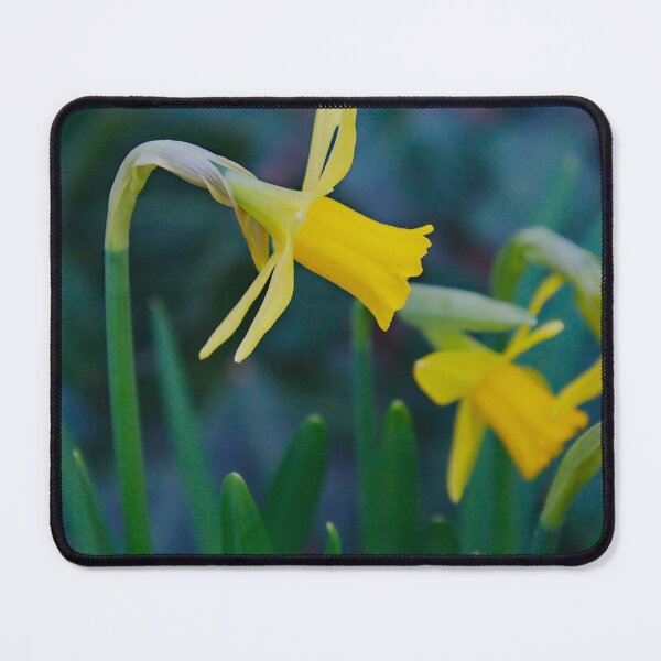 Item preview, Spring-Yellow Narcissus designed and sold by ShotsbyDesiree.
