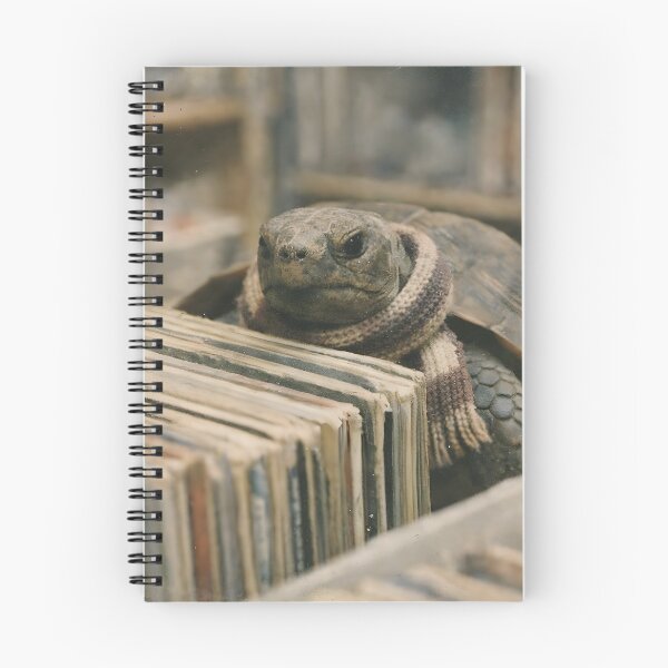 Item preview, Turtle Searching for an Old Music Record Wall Art | Whimsical Sea Turtle Explorer | Retro Photography Aesthetic Vintage Print designed and sold by PaintedPixels01.