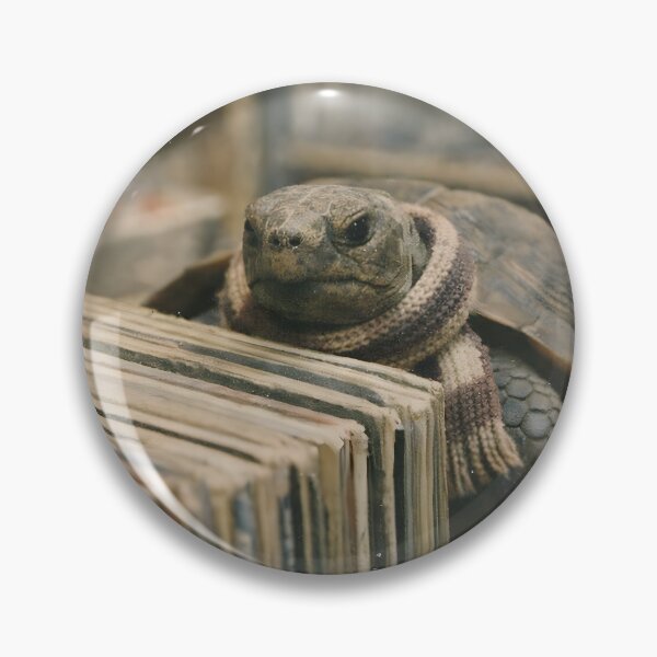 Item preview, Turtle Searching for an Old Music Record Wall Art | Whimsical Sea Turtle Explorer | Retro Photography Aesthetic Vintage Print designed and sold by PaintedPixels01.