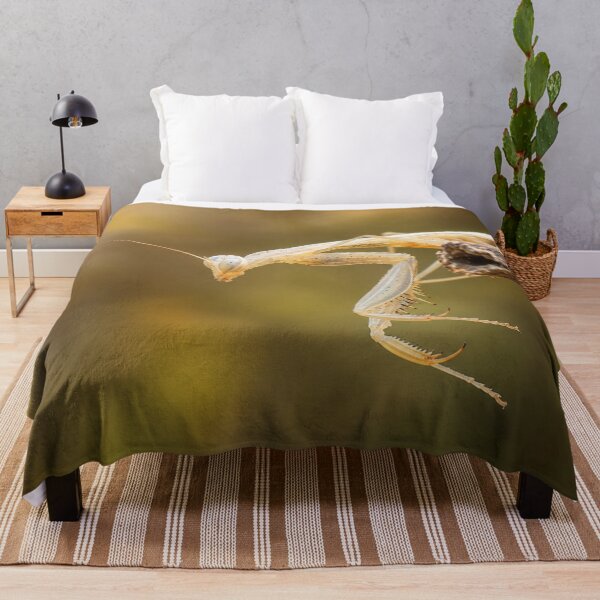 Item preview, Praying Mantis on a Stick designed and sold by Kimberly Palmer.