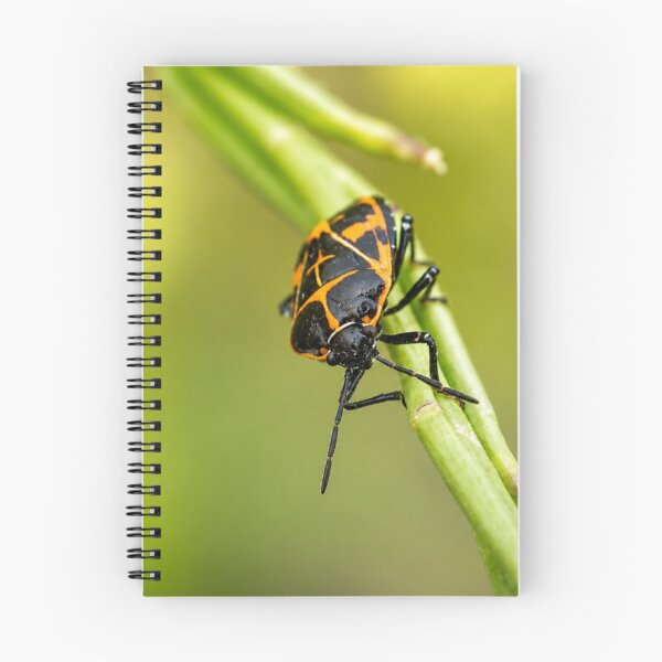 Item preview, Harlequin Bug on Green Stem designed and sold by Kimberly Palmer.